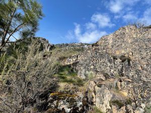 Stehekin Hiking Trail Mountains